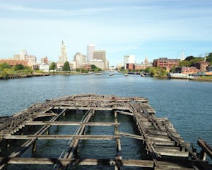 Wildcard_Providence-skyline-from-Cowpen-Point_Ryan-Walsh