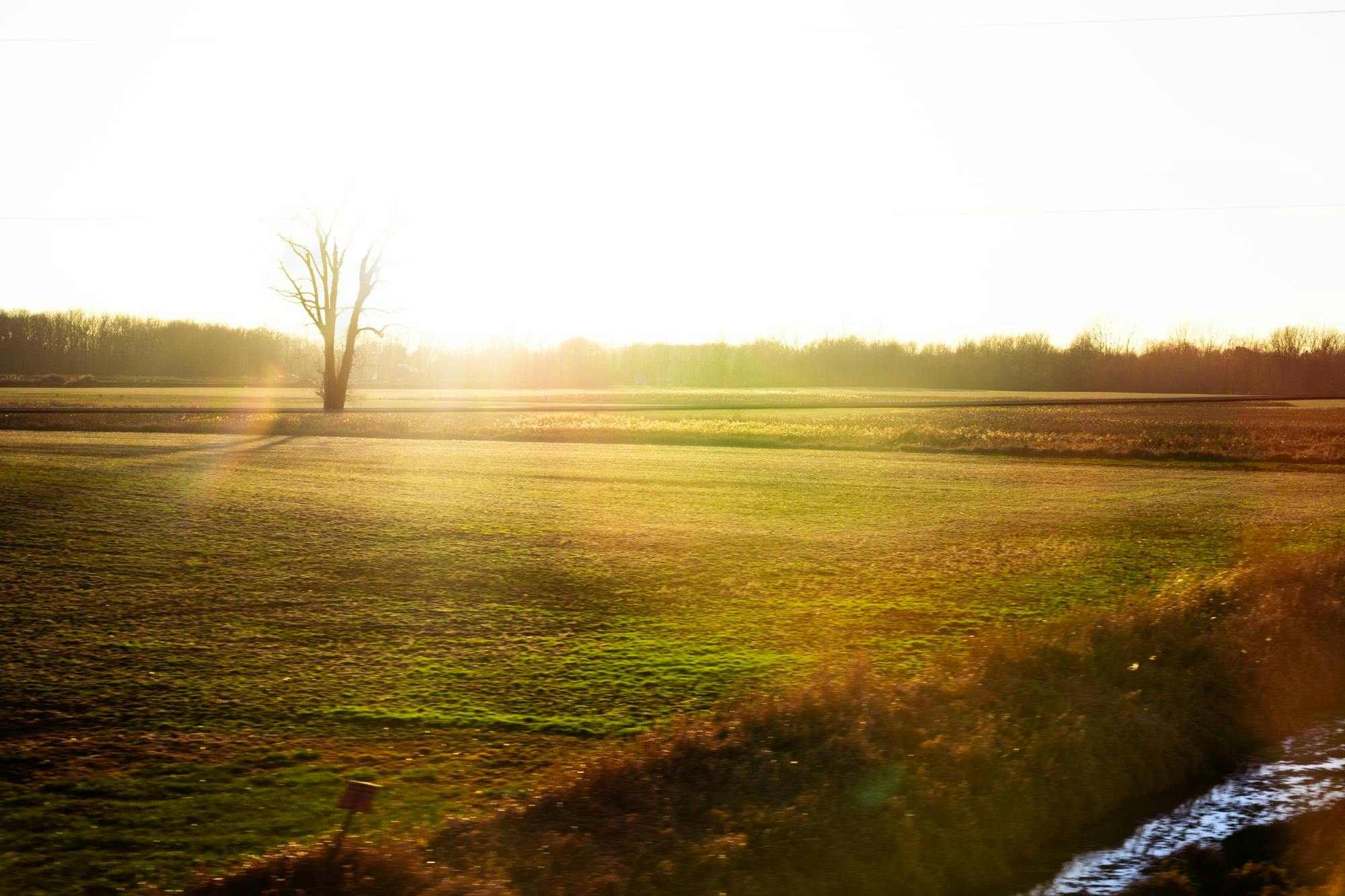 Leggat-Barr.AnnaLuecht