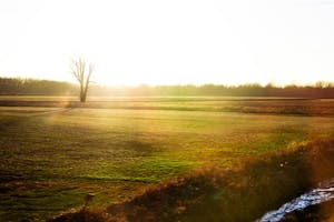 Leggat-Barr.AnnaLuecht