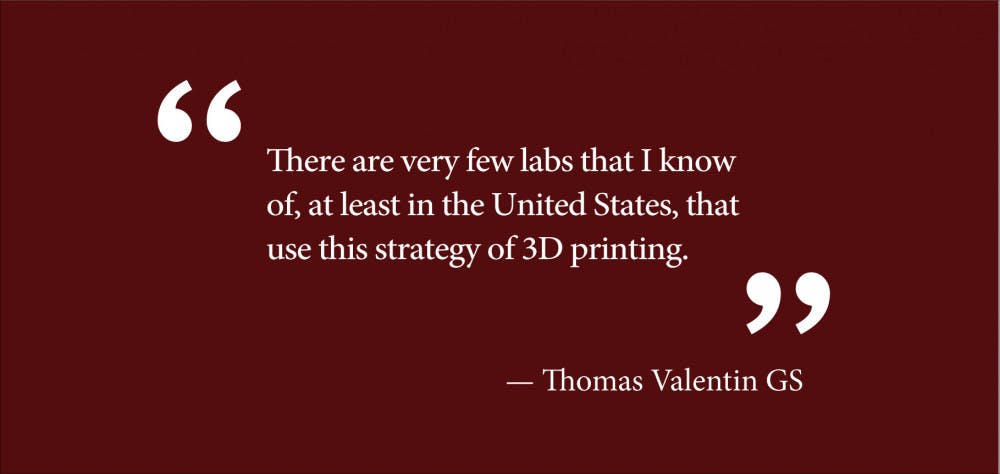 Sagaityte-Pull-Quote