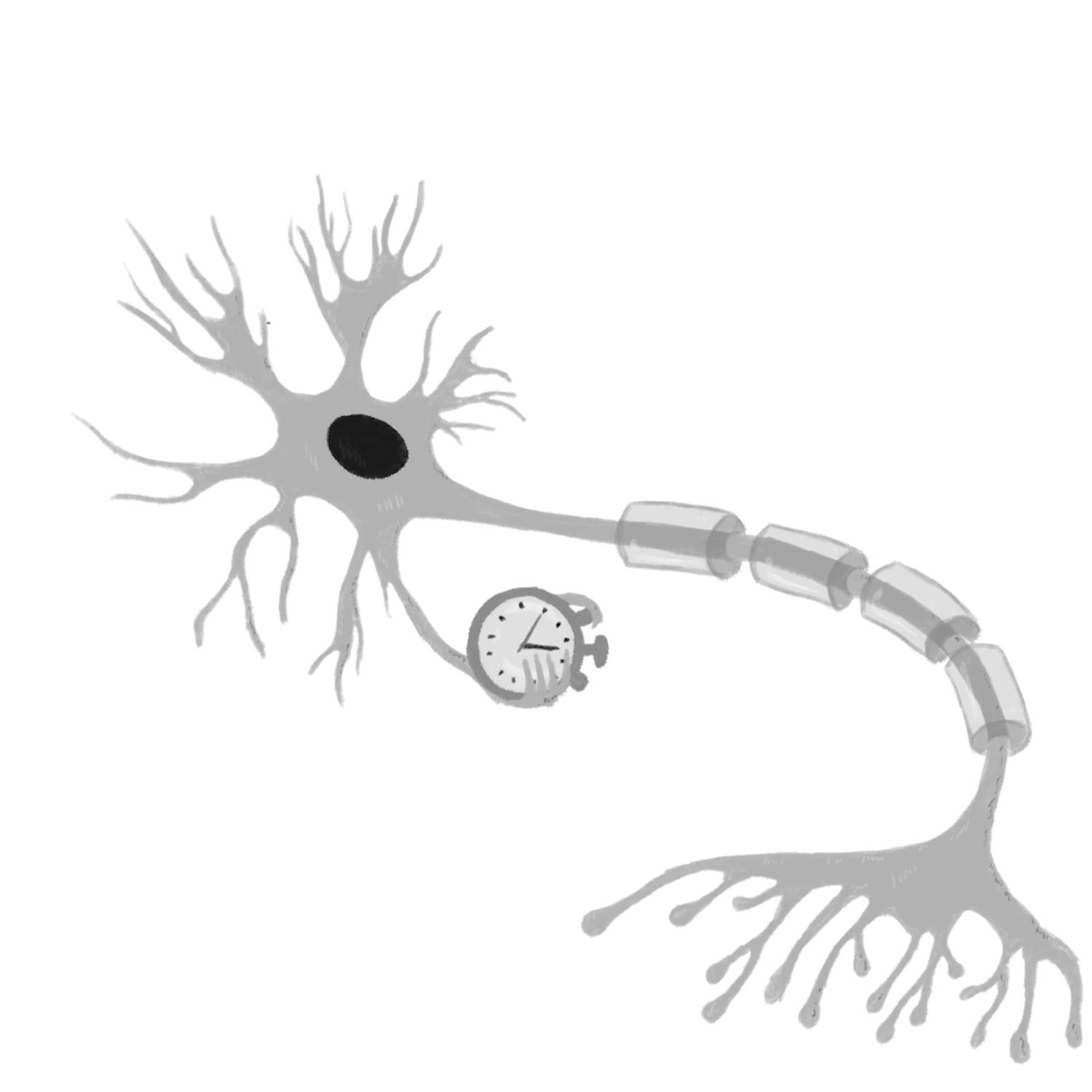 neuron-stopwatch-bw