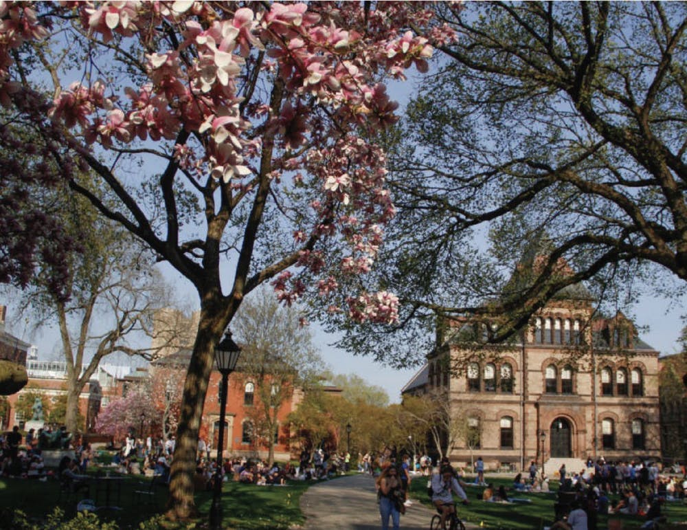 Wang_RunoffResults_CO_Victoria_Yin