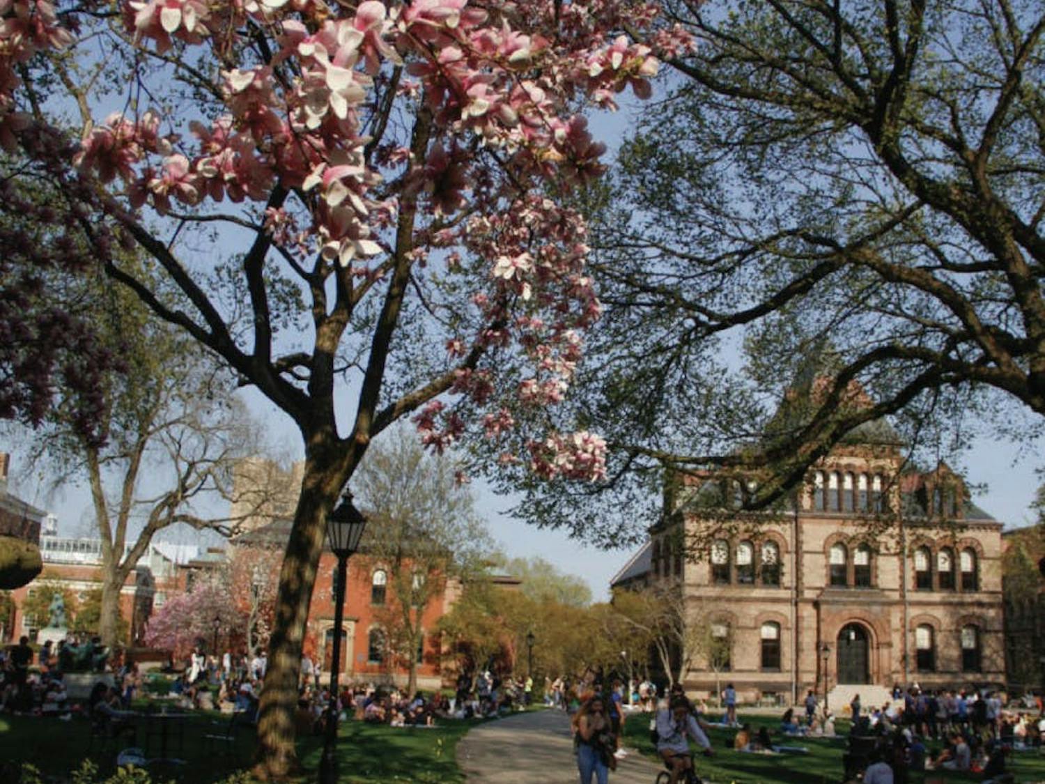 Wang_RunoffResults_CO_Victoria_Yin