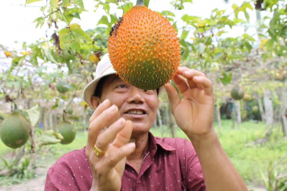 Walker-Jacks_XOI_Myron-Lam