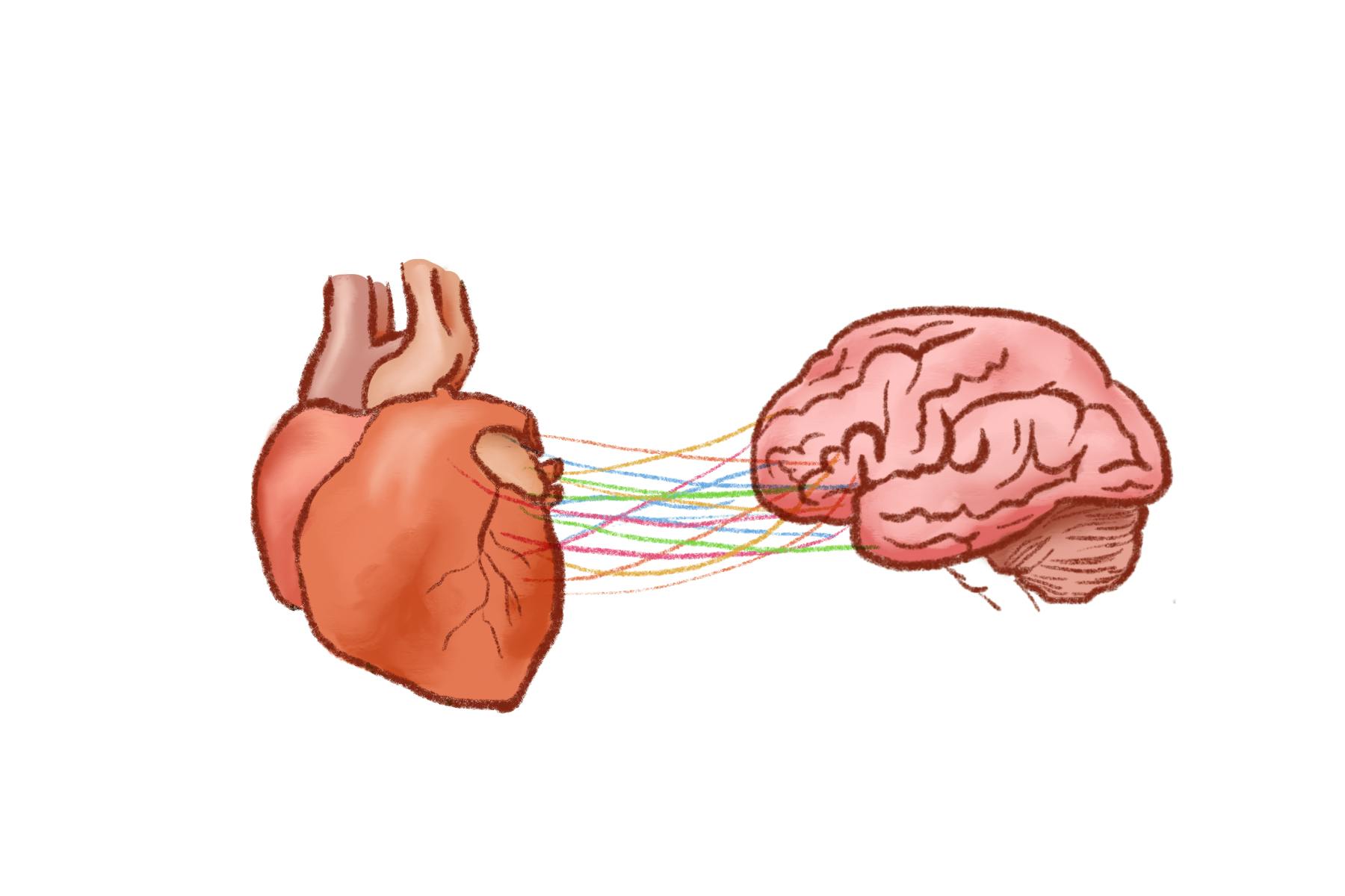 Zhang_Distress_CO_Jennifer_Chen