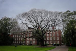 The large elm tree stands in front of University Hall, its leafless branches extending to fill the frame. A yellow rope encircles the base of the tree. 