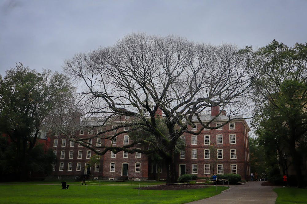 The large elm tree stands in front of University Hall, its leafless branches extending to fill the frame. A yellow rope encircles the base of the tree. 