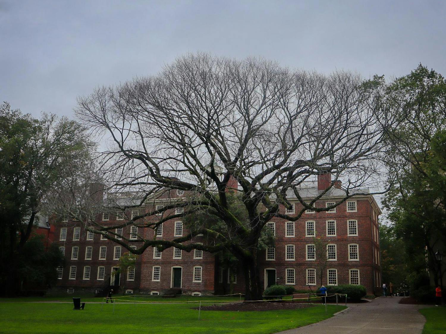 The large elm tree stands in front of University Hall, its leafless branches extending to fill the frame. A yellow rope encircles the base of the tree.
