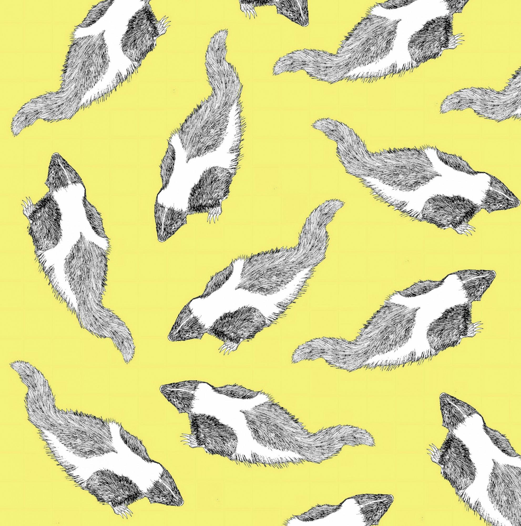 Tiny Skunks.jpg