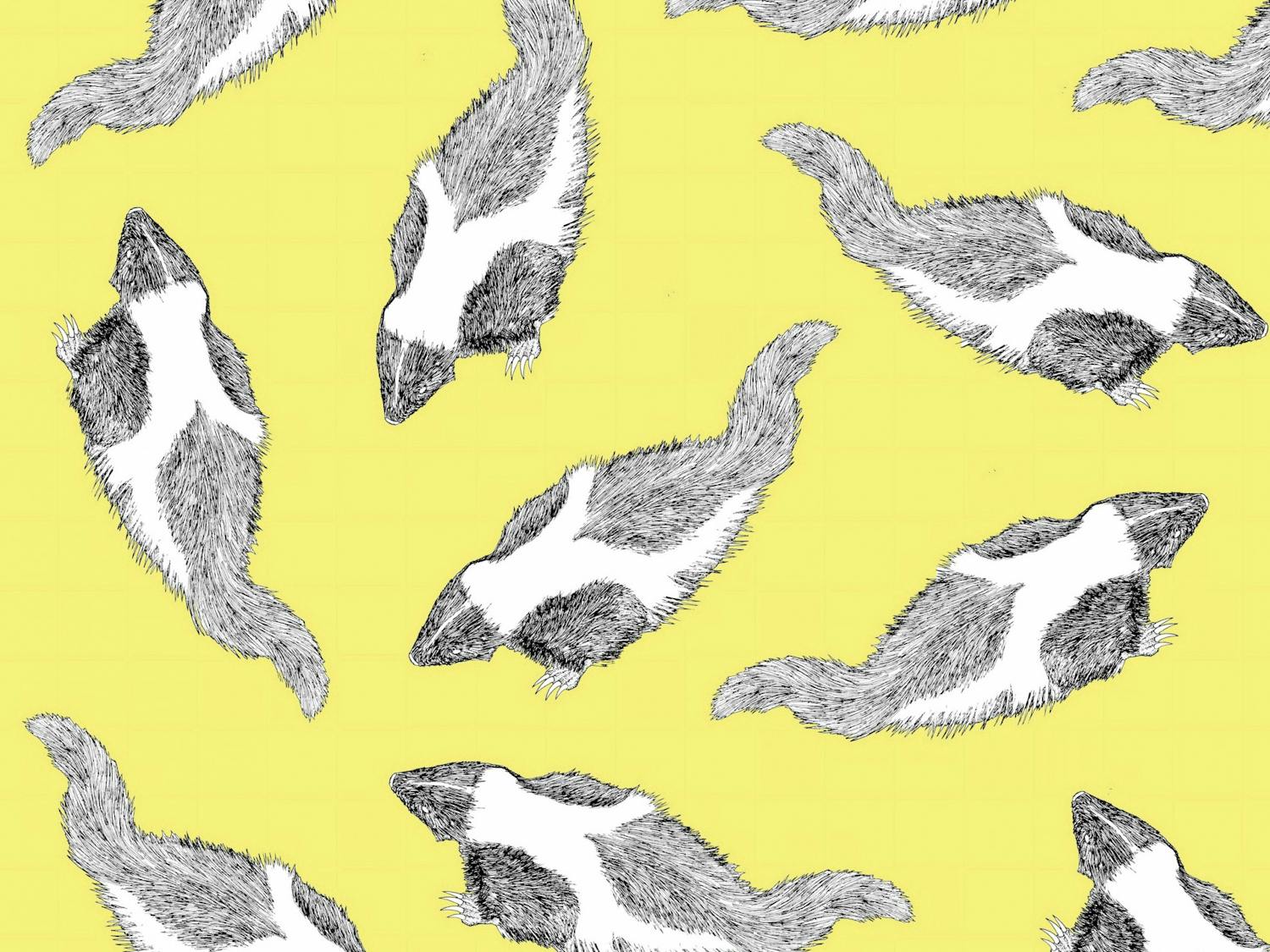 Tiny Skunks.jpg