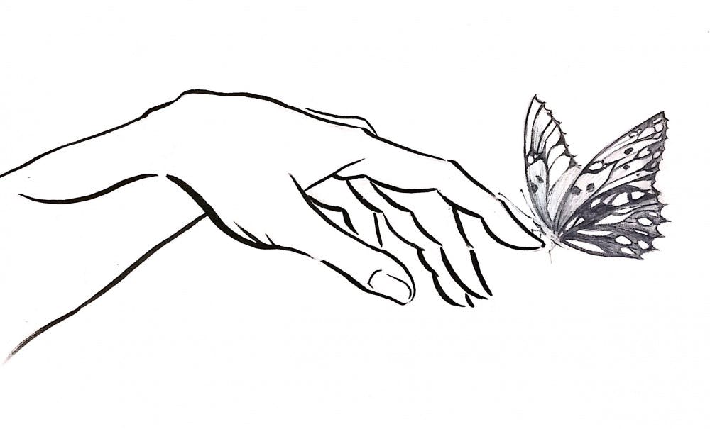 Daphne-Zhao-Butterfly-Effect