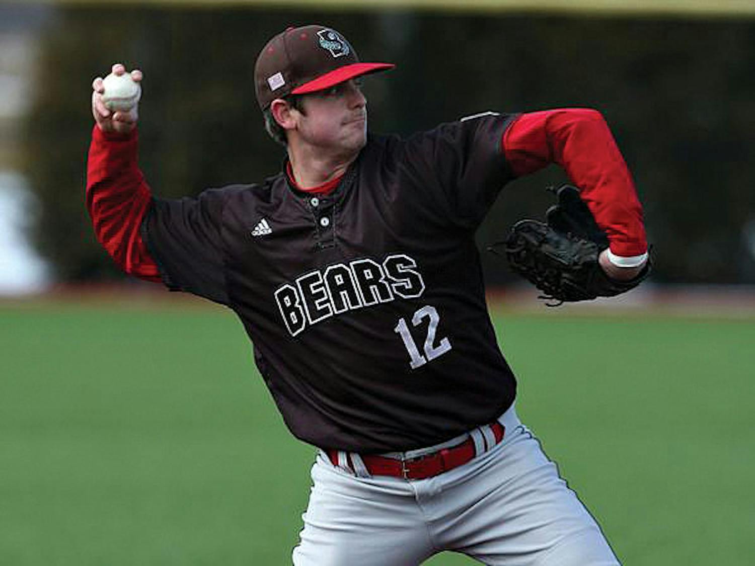 Brownsword_Baseball_CO-Brown-Bears