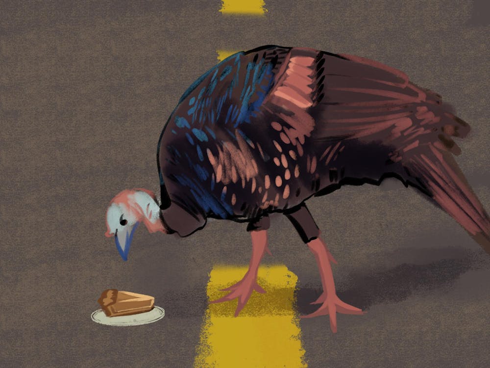 A turkey walking on a road, staring down at a piece of pie sitting in the road.
