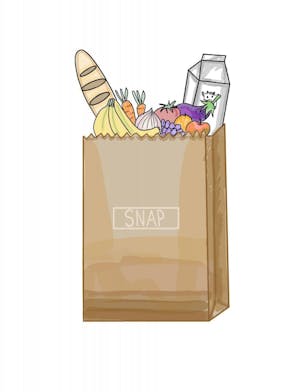 An illustration of a brown paper bag labeled "SNAP" overflowing with groceries, including fruits and vegetables.