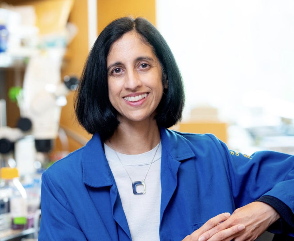<p>Tejal Desai encouraged current engineering students to be resilient as they pursue a career in the field.</p><p>Courtesy of Brown University School of Engineering</p>