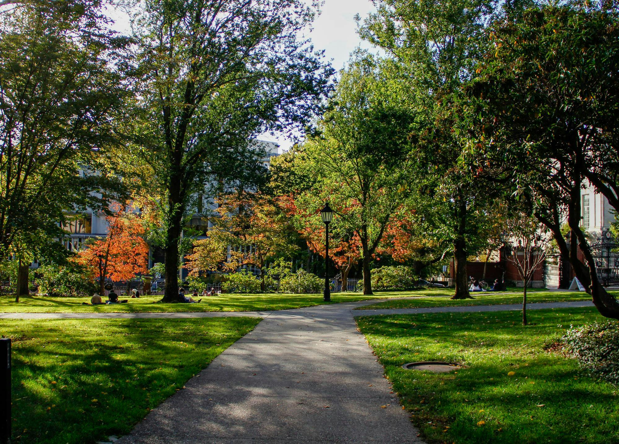 race and the classics P Victoria Yin .jpg