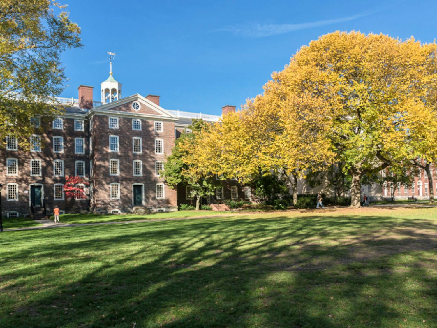 Wolfson-DACA-Color-CO-Brown-University