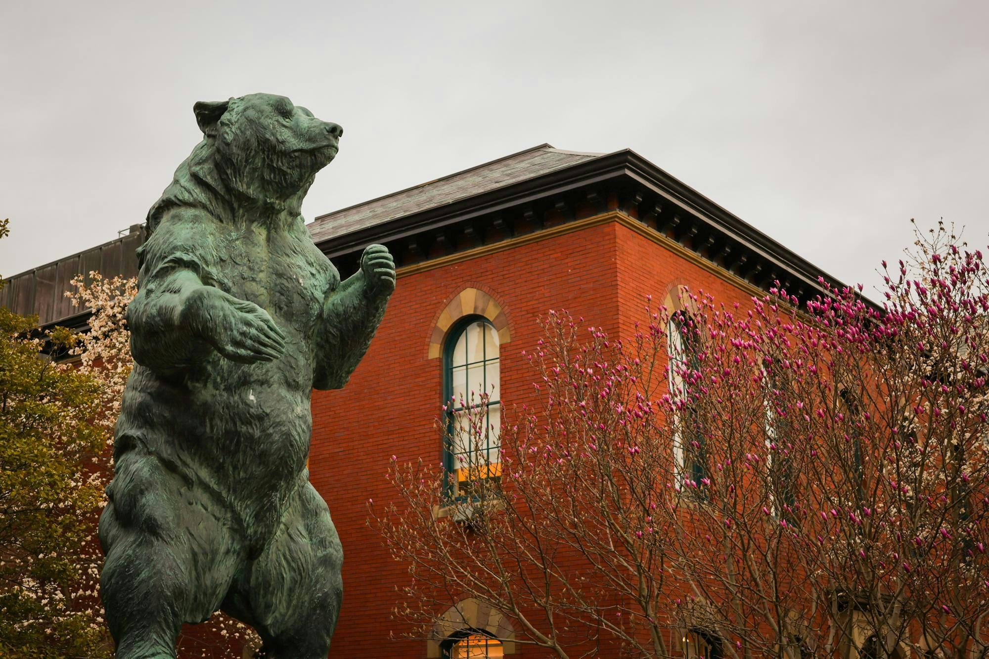 Brown University's Bear statue with the Salomon Center, a brick building, and trees in the background.