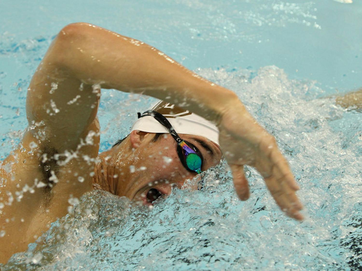 Flax_Swimming_c-oDaveSilverman