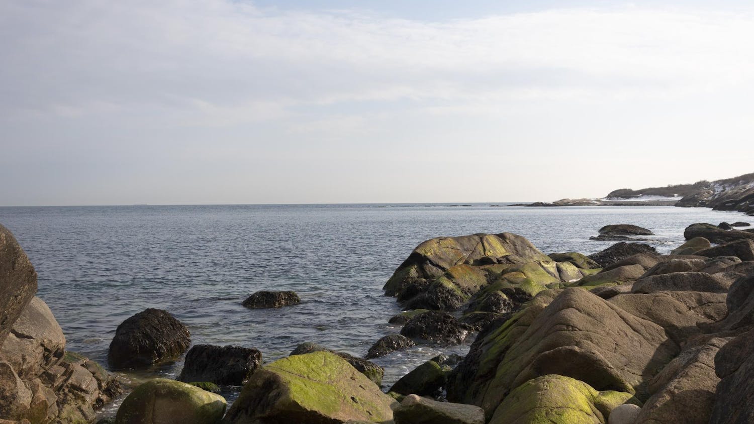 A photo of the Rhode Island coast shows rocks lining a beach that extends along the horizon.