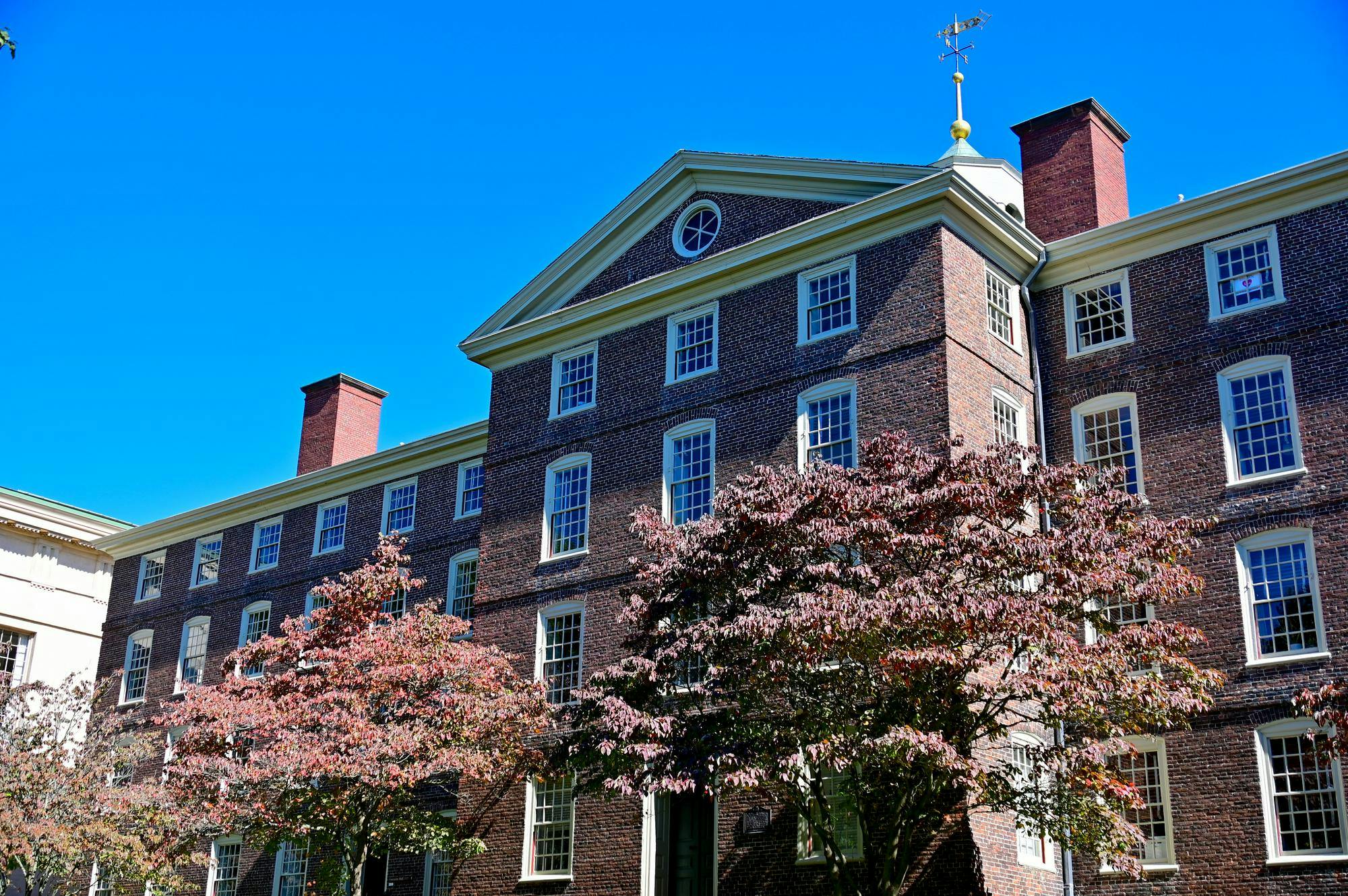 A photo of the back of Brown University’s University Hall, a large brick building, with thick trees of pink flowers in front.