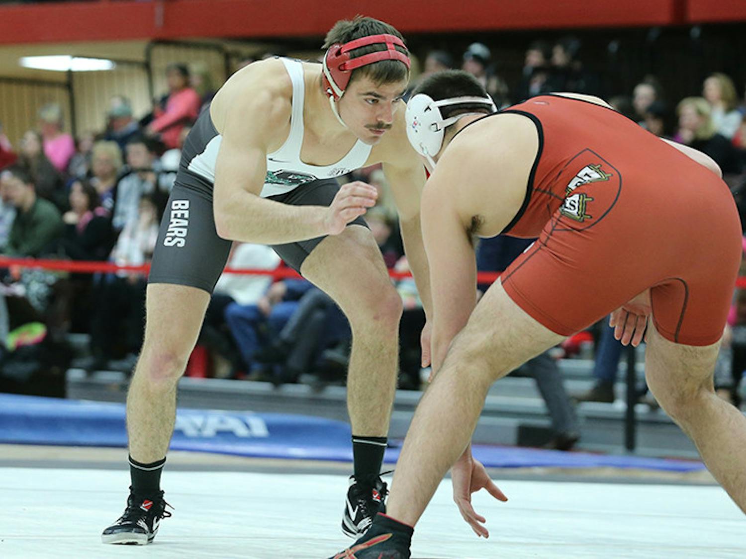 bronsword_wrestling_brownbears