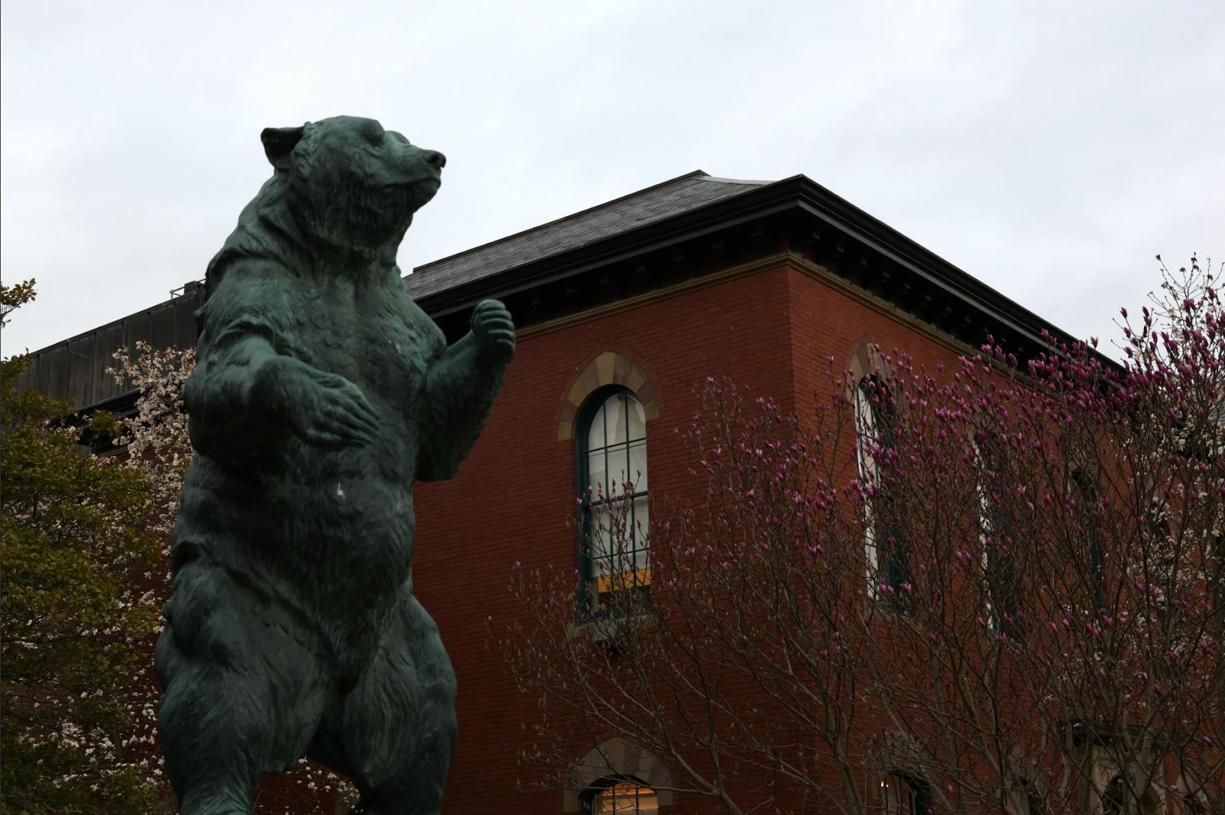 A photo of the bear statue on Brown's Main Green with Salomon Hall in the background on a cloudy day. 