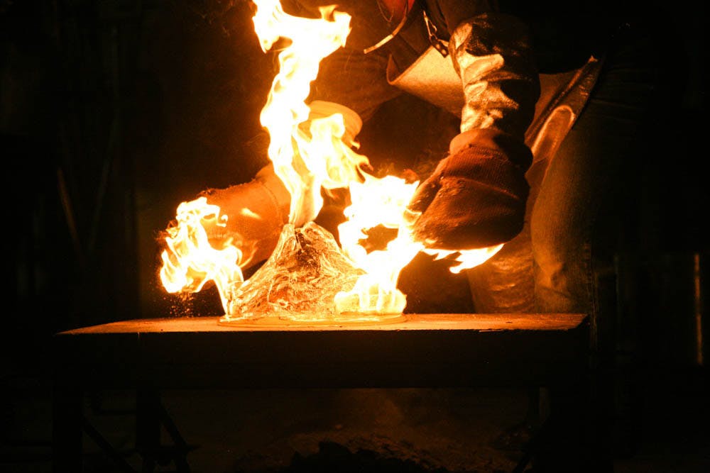 Renken_BiographyofFire_ElenaRenken