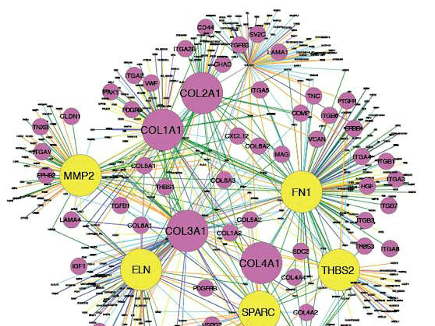 Nadboy_Diabetes_COLiuLabBrown-University
