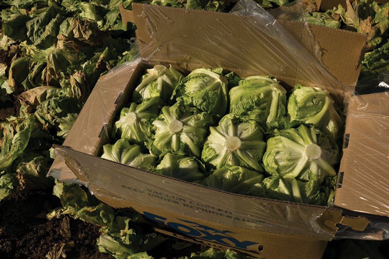 Galor_Hull-Bill_CO-Ana-Deckey