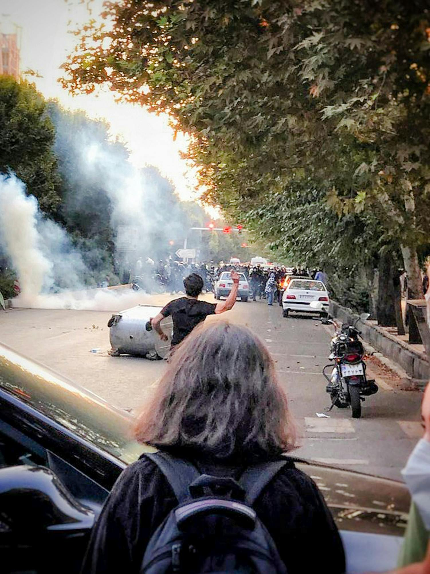 Nadirashvili_ U. community thoughts on Iran protests_CO_Darafsh Kaviyani, Wikimedia Commons.jpg