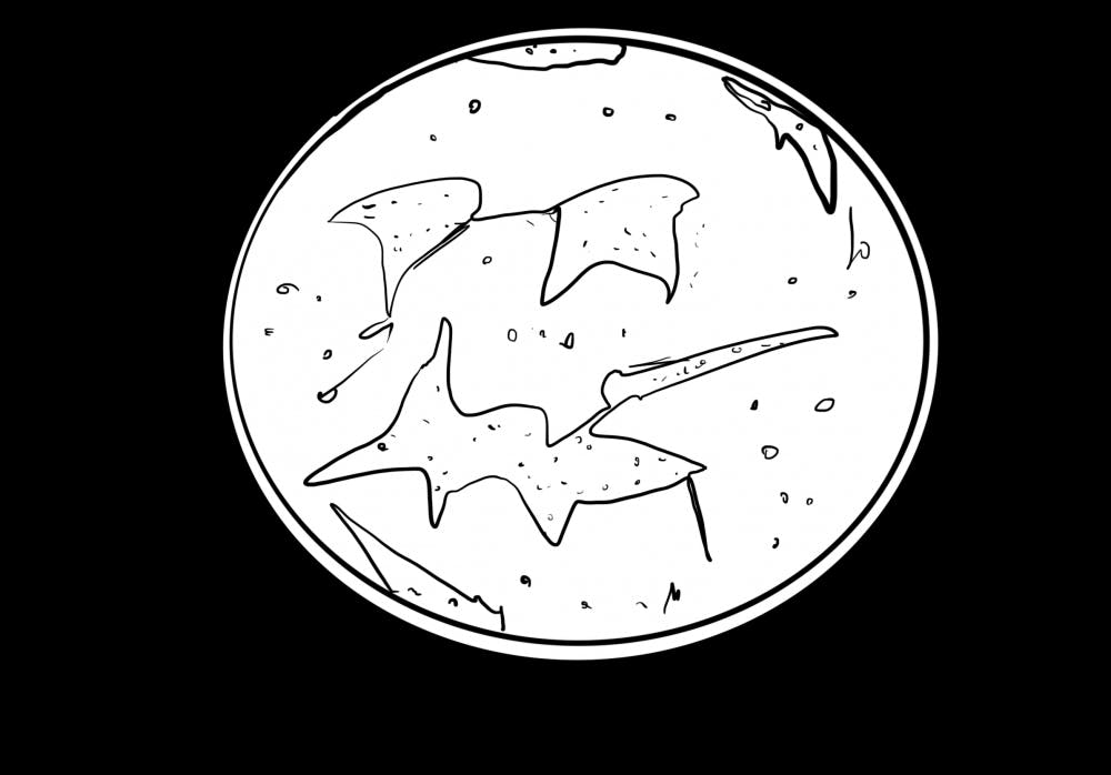 Summer-Zhang_Sayin-Cell-Clusters