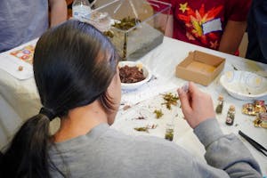 Student performs an experiment with a dropper and a small glass vial
