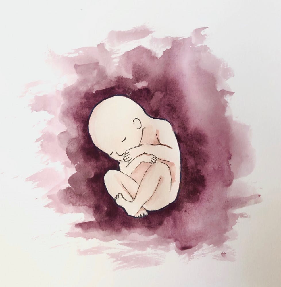 Illo-by-Hanna-Rashidi