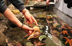 aquarium - claire diepenbrock.JPG