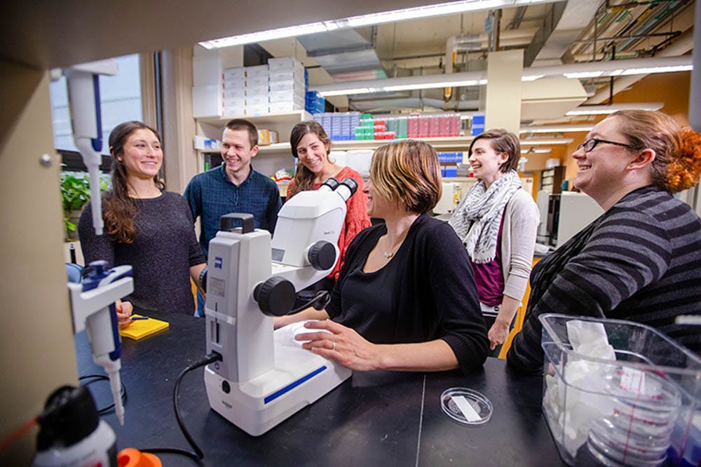 Goetz-Lab_CO-Brown-University