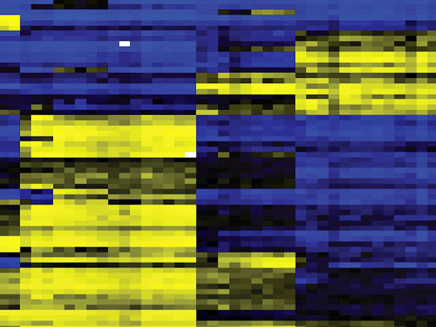 Nadboy_Immune_CO-Kelsey-lab