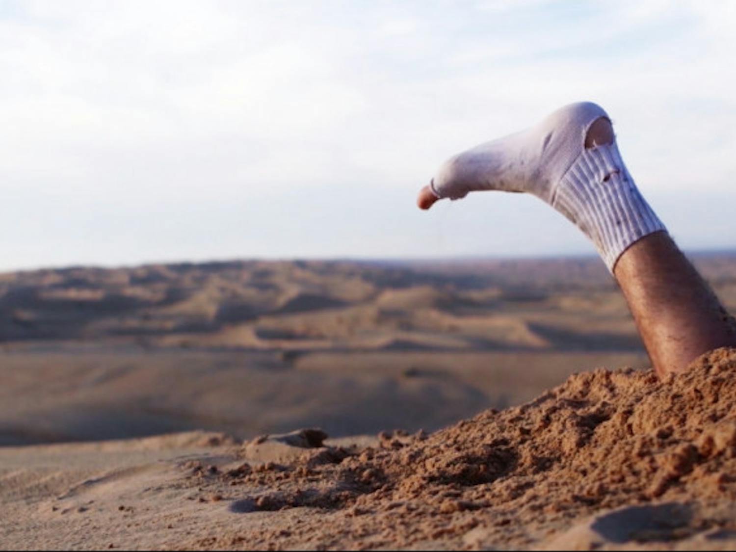 Torres_BMP_AdamHersko-RonaTas