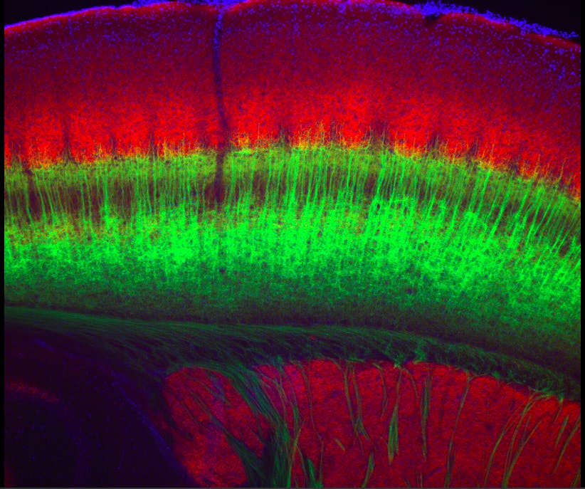 Screen-Shot-2018-01-29-at-7.16.10-PM-copy