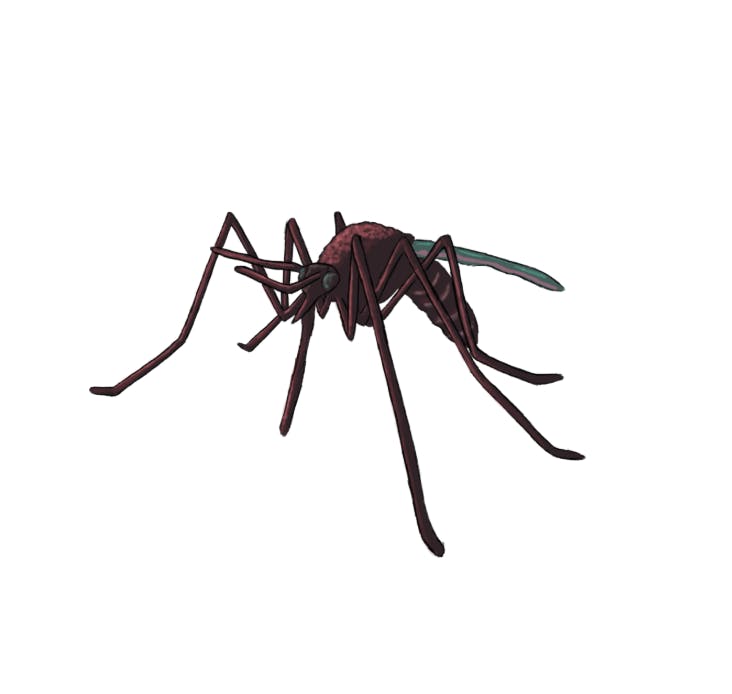 Screen-Shot-2019-09-18-at-12.13.10-AM