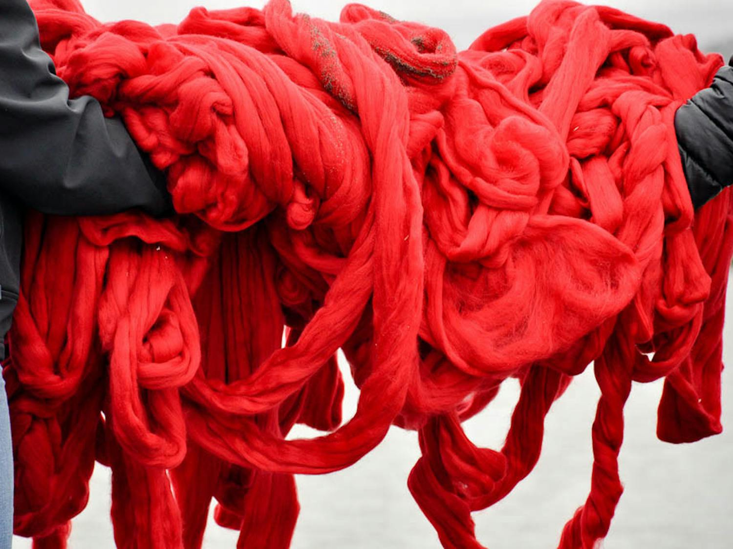 Ok_Cecilia_CO_Cecilia-Vicuña