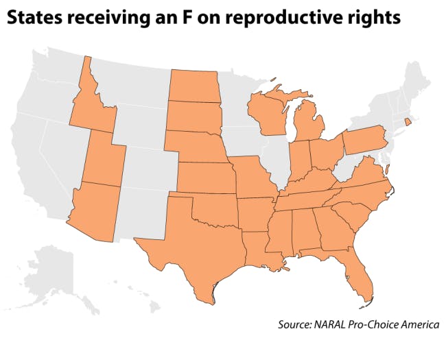Reyes_Reproductive_EmmaJerzyk1-650x493