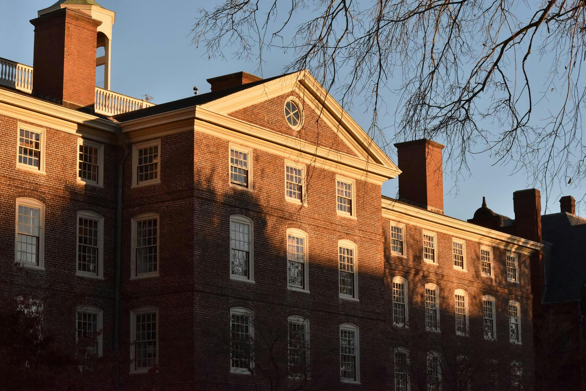Photo of the sunlit University Hall with a tree in the front.
