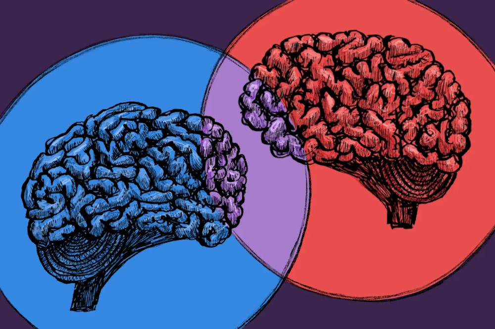 Illustration of two brains, one blue and one red, with an overlapping purple portion