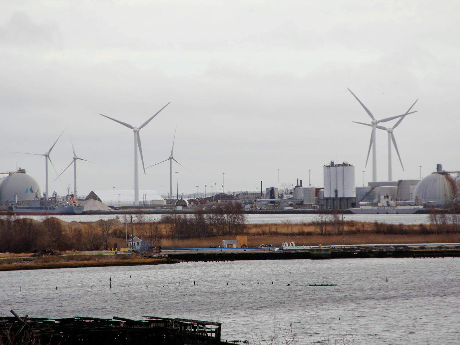 Vaz_ Cornell RI Climate Jobs report Herald Photographer Victoria Yin.jpg