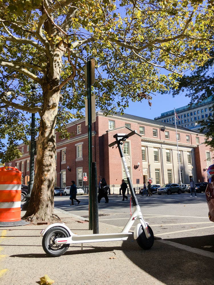 Dawson_Birds_Gus-Reed