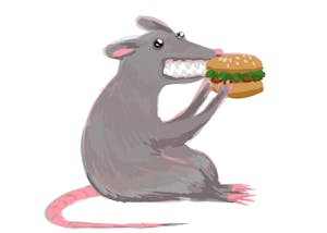 whichdininghallareyou.png