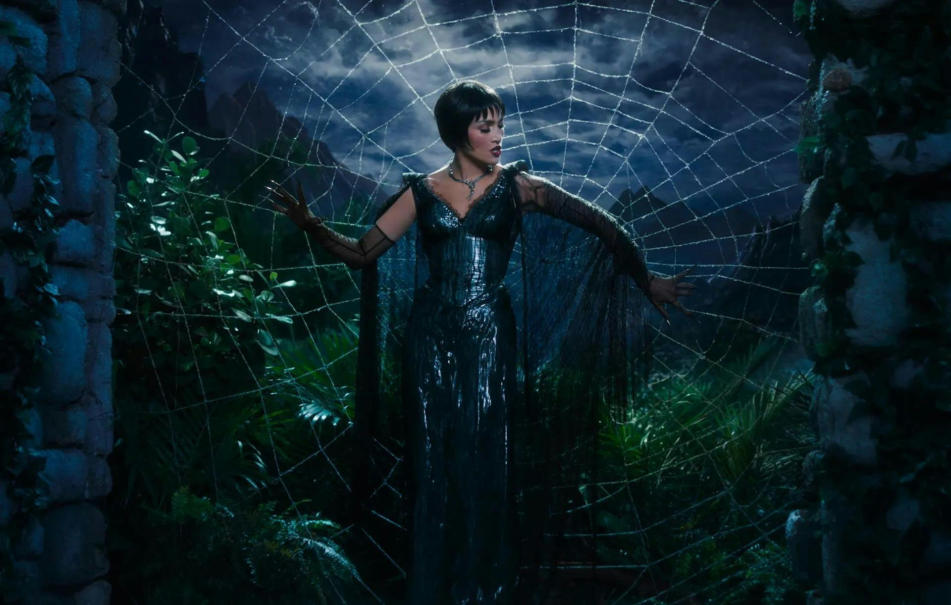 Photo of a woman dressed in a black dress standing in front of a spiderweb with moonlight illuminating the sky in the background. 