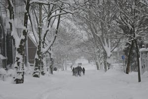 Multiple groups of people walking through the snow-covered road with two rows of trees on the right and the left stretching into the distance.