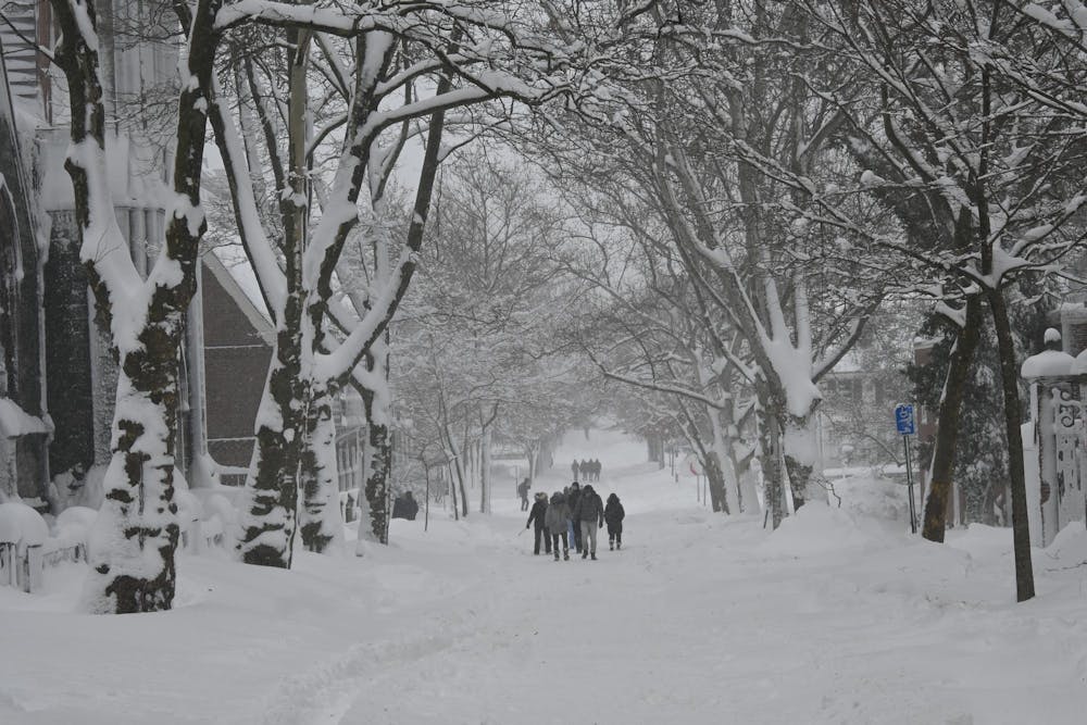 Multiple groups of people walking through the snow-covered road with two rows of trees on the right and the left stretching into the distance.